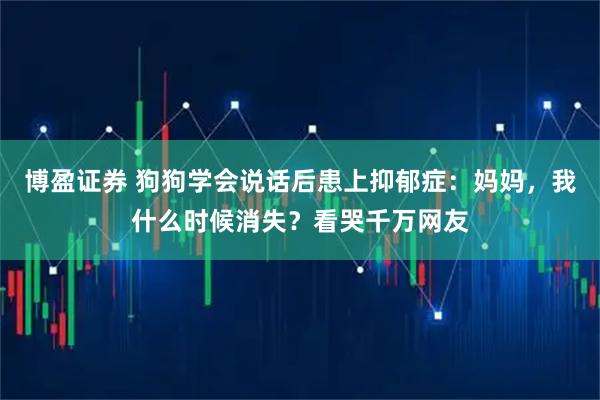 博盈证券 狗狗学会说话后患上抑郁症：妈妈，我什么时候消失？看哭千万网友