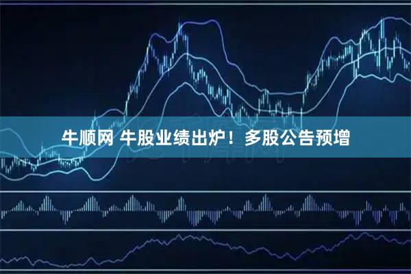 牛顺网 牛股业绩出炉！多股公告预增