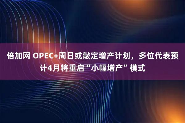 倍加网 OPEC+周日或敲定增产计划，多位代表预计4月将重启“小幅增产”模式
